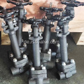 API602 LF2 Bonnet Extended Gate Valve